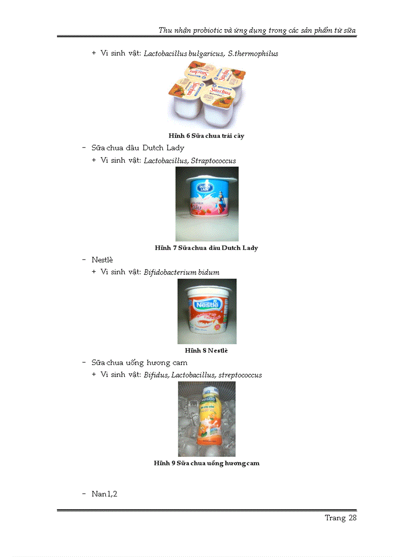 image for page Thu nhận probiotic và ứng dụng trong các sản phẩm từ sữa