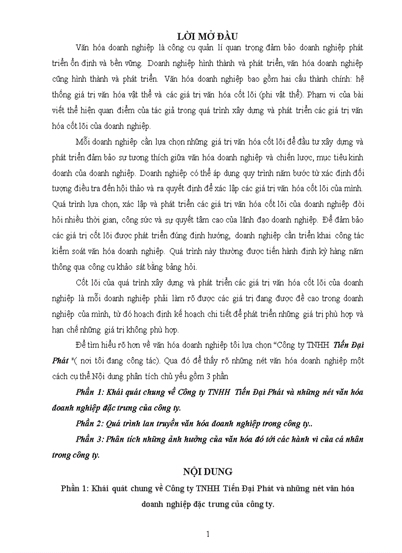 image for page Phân tích những ảnh hưởng của văn hóa doanh nghiệp tới các hành vi của cá nhân trong công ty TNHH Tiến Đại Phát