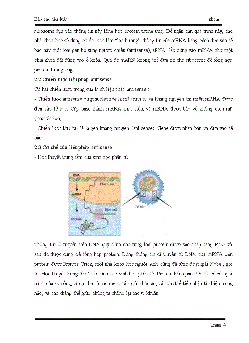 image for page Ứng dụng kỹ thuật antisense trong quá trình làm chậm chín của quả