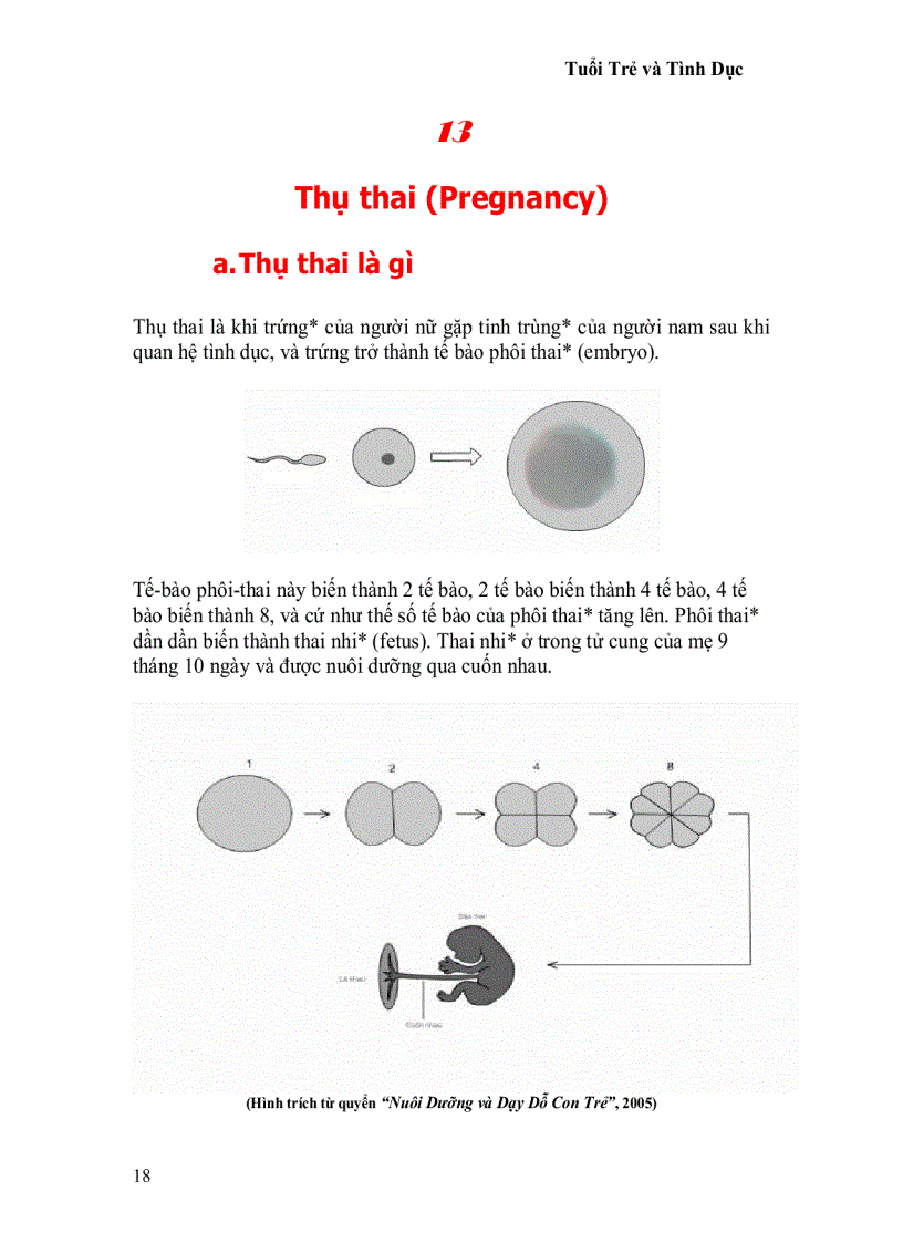 image for page Tuổi trẻ Sức Khỏe Tình dục