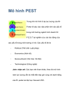 Tổng hợp 96 hình về phân tích mô hình pest  NEC