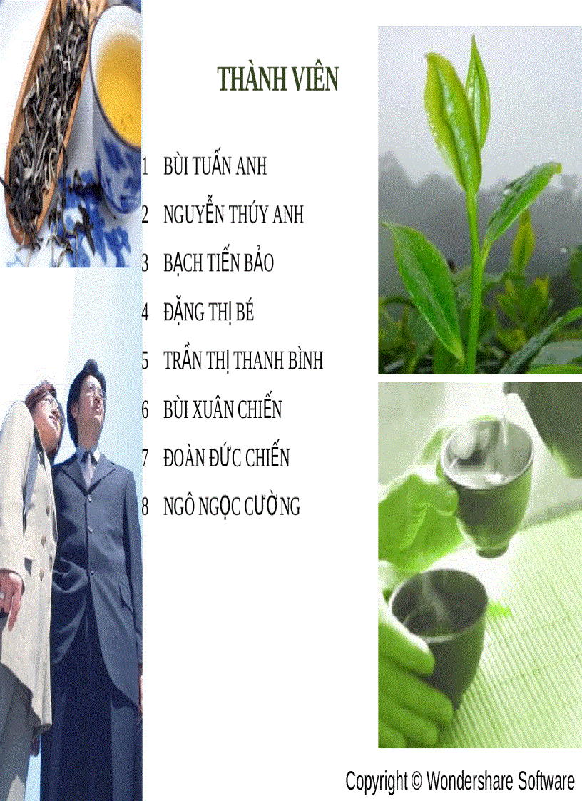 image for page Ứng dụng phương pháp 5 Whys và ma trận SWOT trong Phân tích Chè Xuất Khẩu của Việt Nam