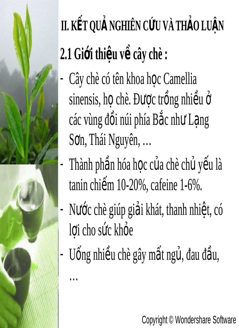 image for page Ứng dụng phương pháp 5 Whys và ma trận SWOT trong Phân tích Chè Xuất Khẩu của Việt Nam