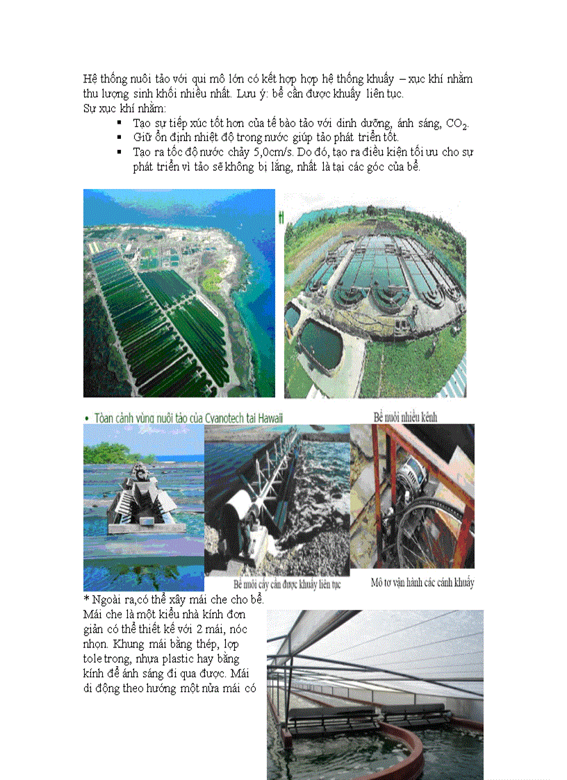 image for page Giới thiệu các hướng Ứng dụng tảo spirulina trong xử lý nước thải và các ngành thực phẩm y dược mỹ phẩm