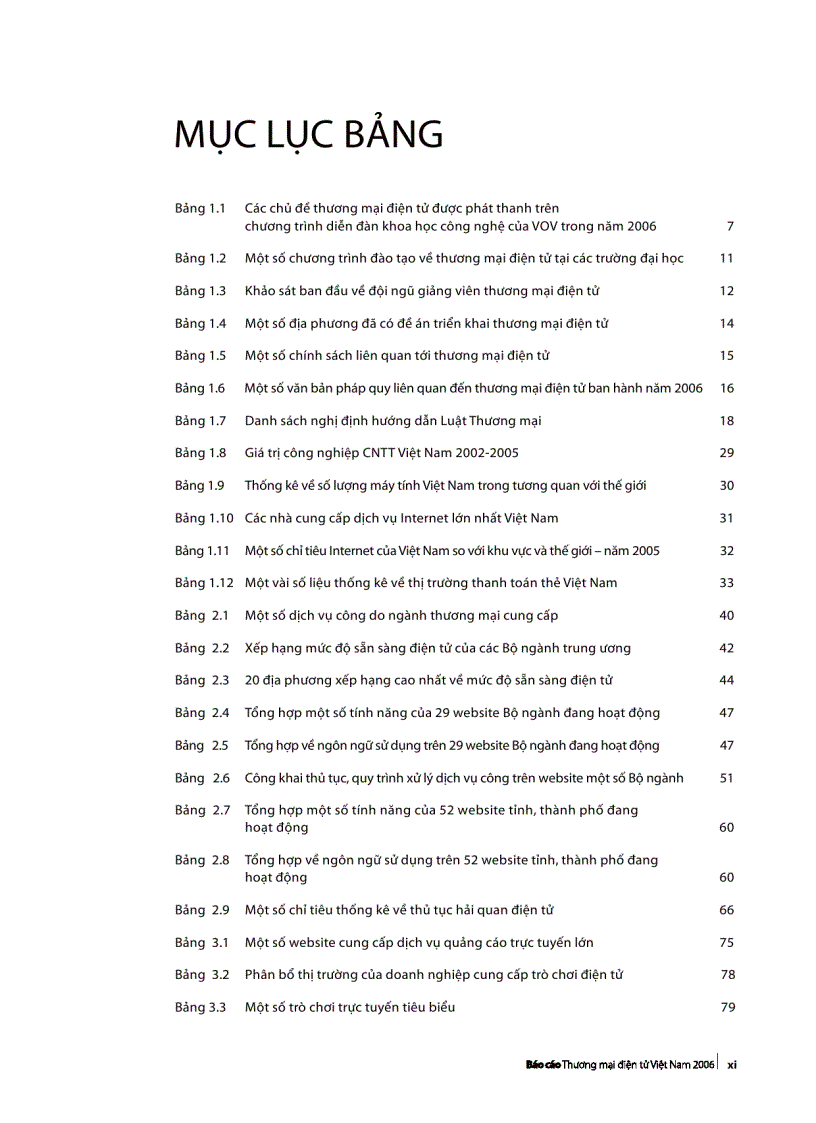 image for page Báo cáo TMDT Việt Nam 2006