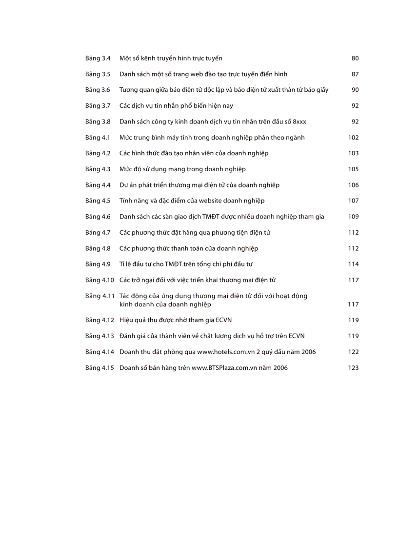 image for page Báo cáo TMDT Việt Nam 2006