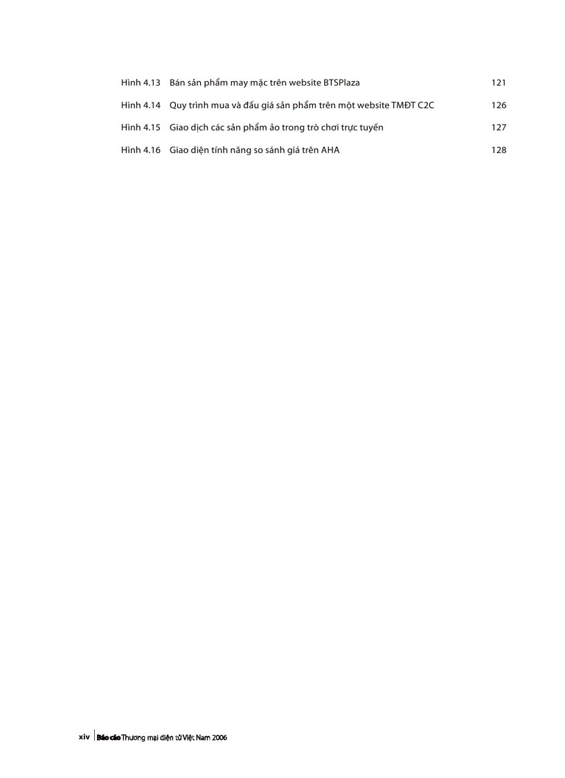 image for page Báo cáo TMDT Việt Nam 2006