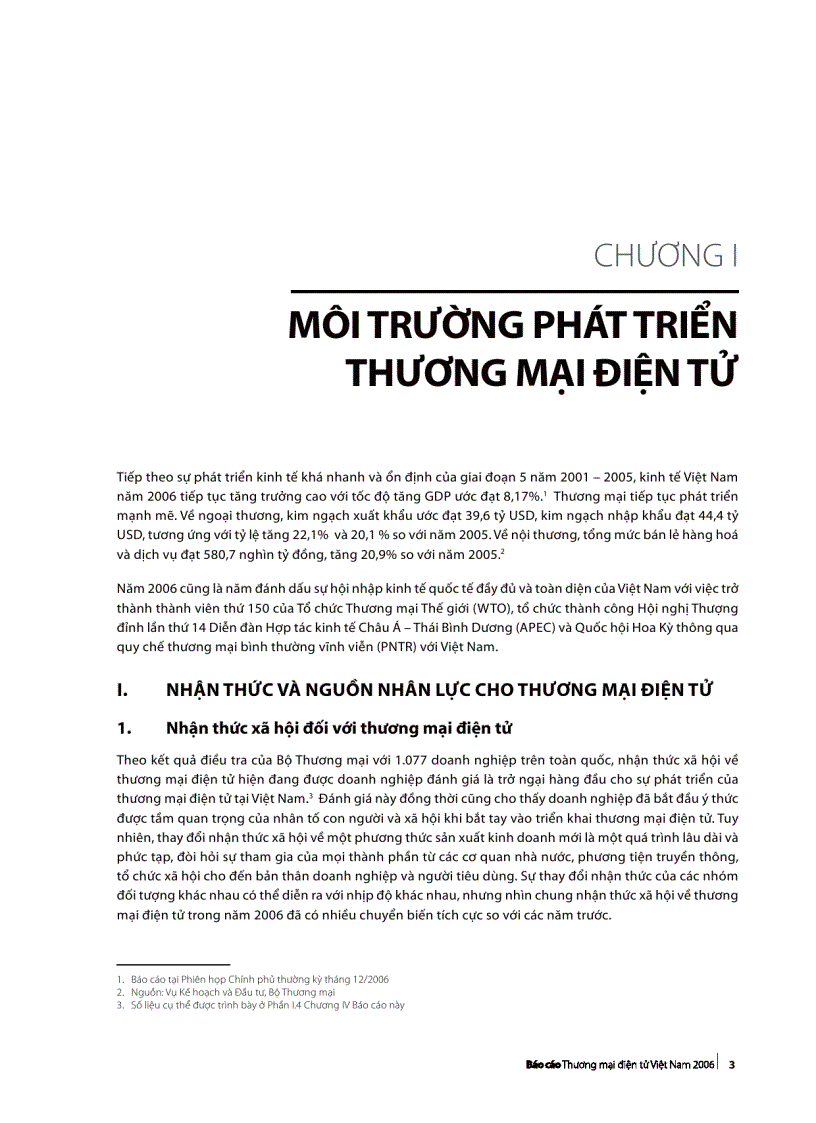 image for page Báo cáo TMDT Việt Nam 2006