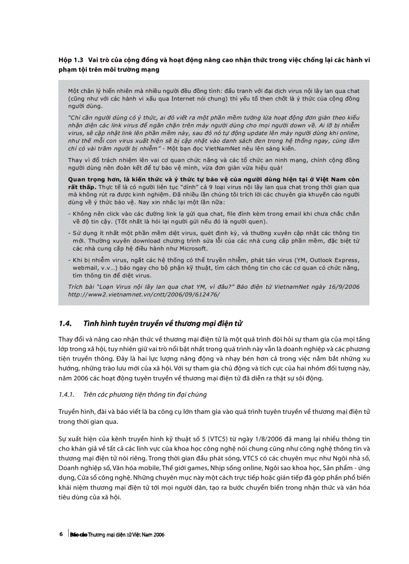 image for page Báo cáo TMDT Việt Nam 2006
