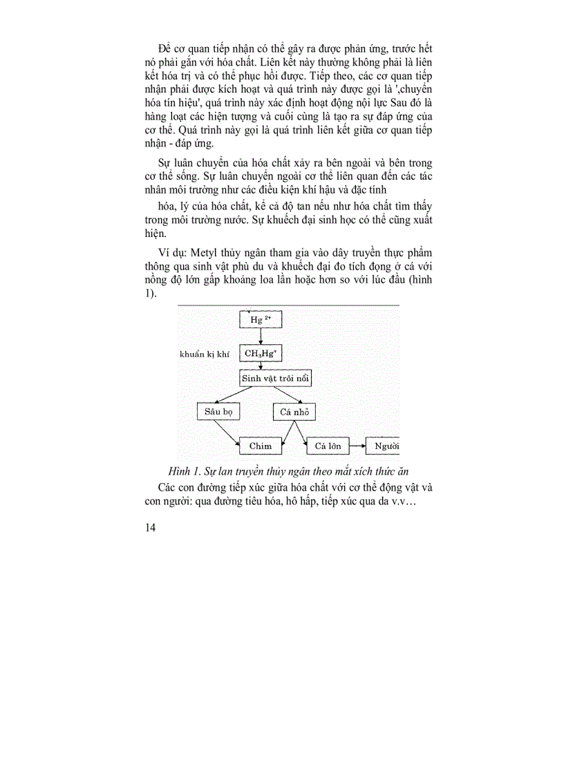 image for page Môi trường và độc chất