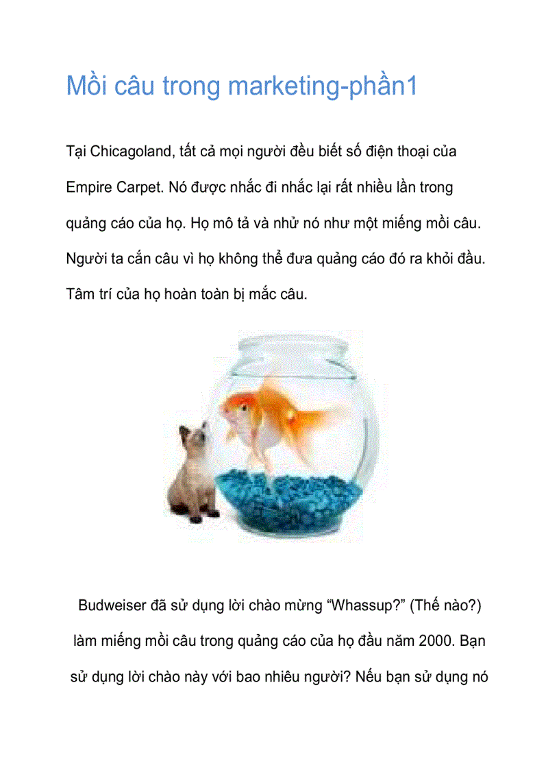image for page Mồi câu trong marketing phần1