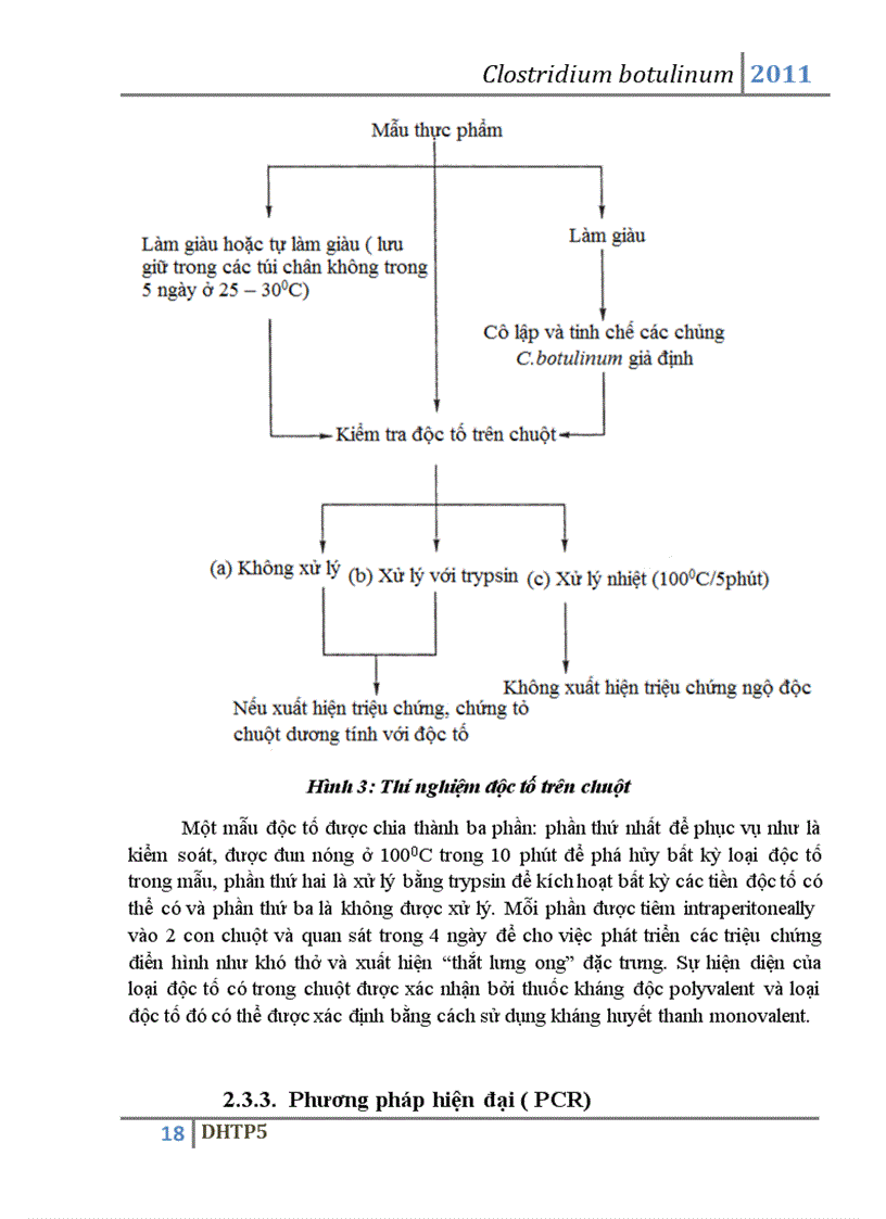 image for page Vi khuẩn Clostridium botulinum và độc tố botulin của vi khuẩn này