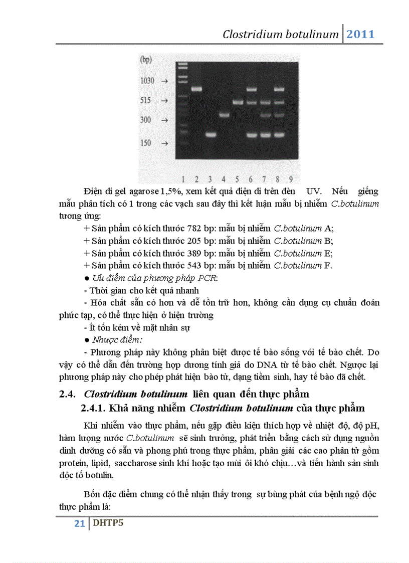 image for page Vi khuẩn Clostridium botulinum và độc tố botulin của vi khuẩn này