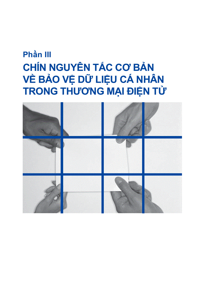 image for page Những nguyên tắc cơ bản về bảo vệ dữ liệu cá nhân trong thương mại điện tử
