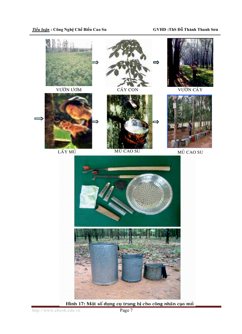 image for page Công Nghệ Chế Biến Cao Su