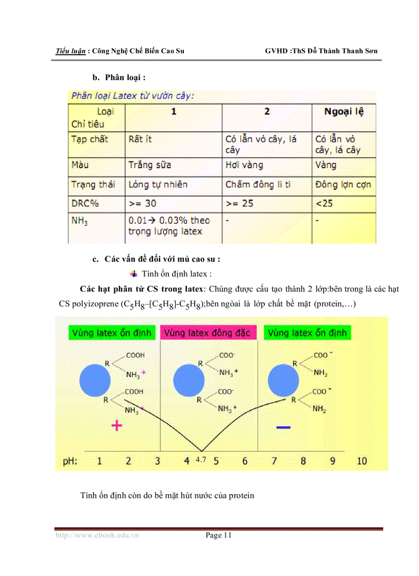 image for page Công Nghệ Chế Biến Cao Su