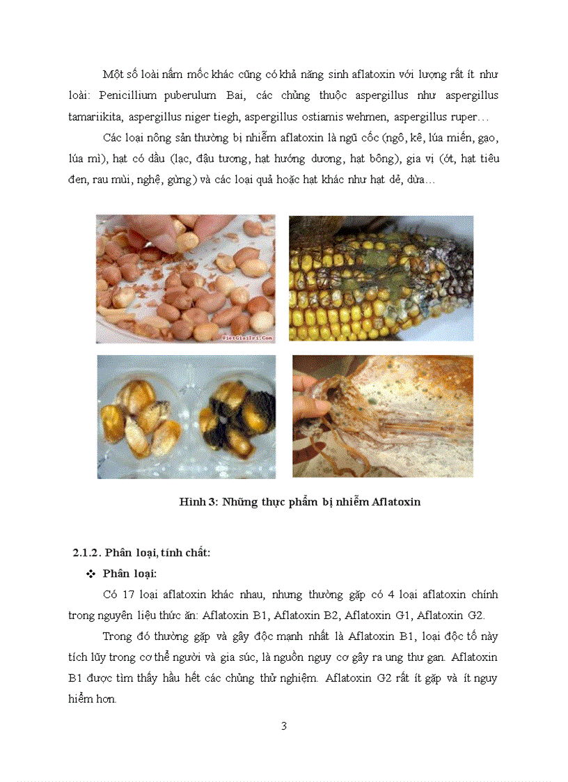 Độc tố nấm mốc Mycotoxins