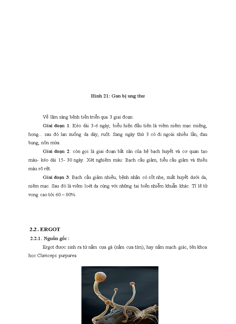image for page Độc tố nấm mốc Mycotoxins