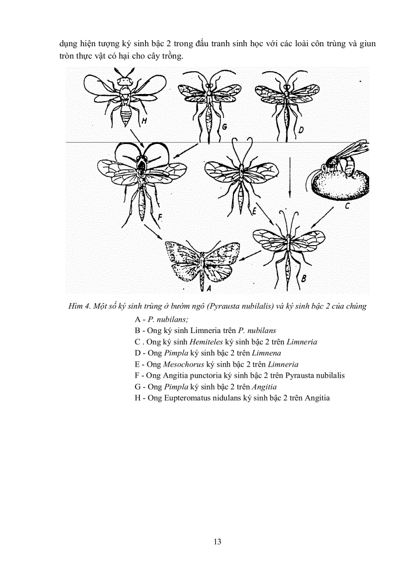image for page GIÁO TRÌNH CAO HỌC Ký sinh trùng học thú y