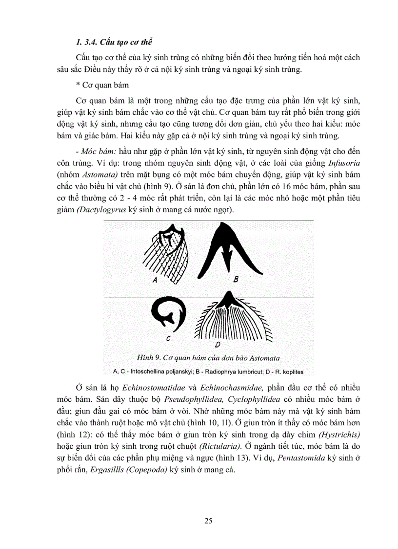 image for page GIÁO TRÌNH CAO HỌC Ký sinh trùng học thú y