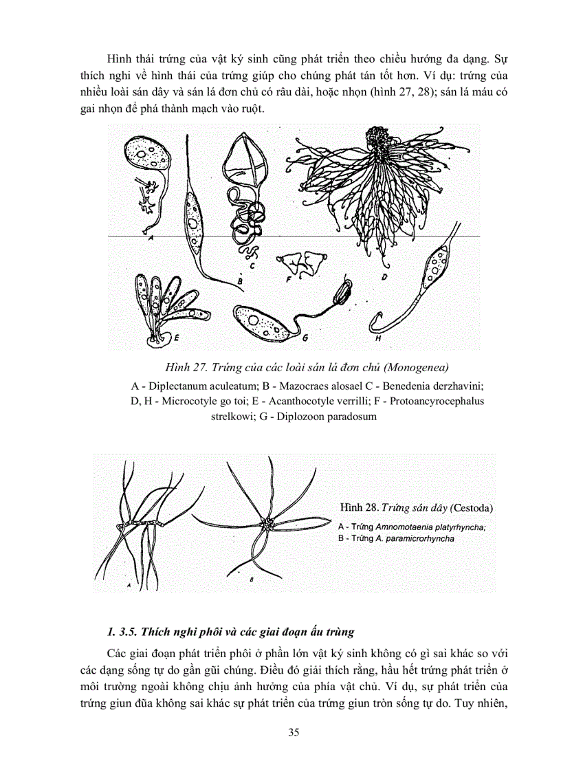 image for page GIÁO TRÌNH CAO HỌC Ký sinh trùng học thú y