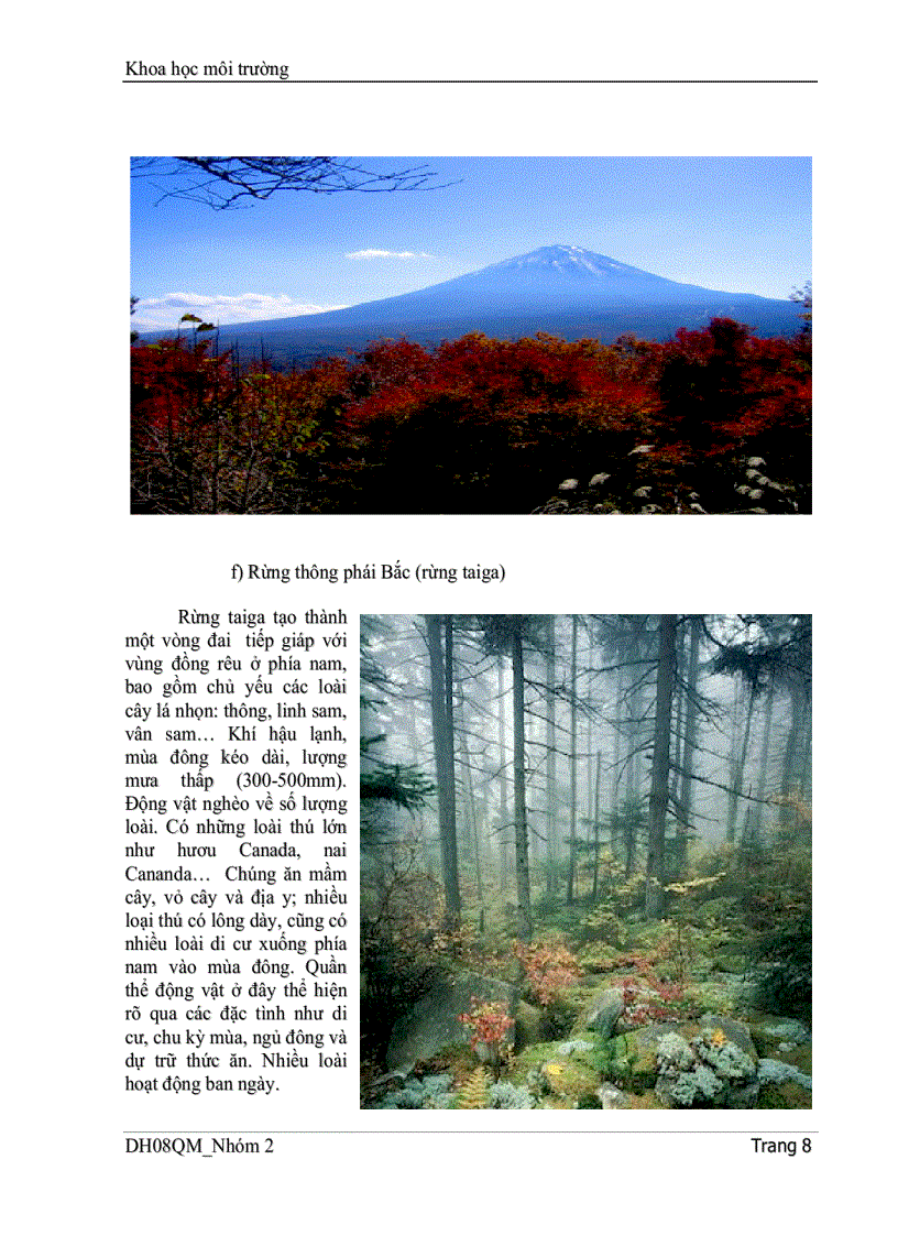 image for page Các nhân tố cấu thành hệ sinh thái mối tương quan giữa các cấu thành