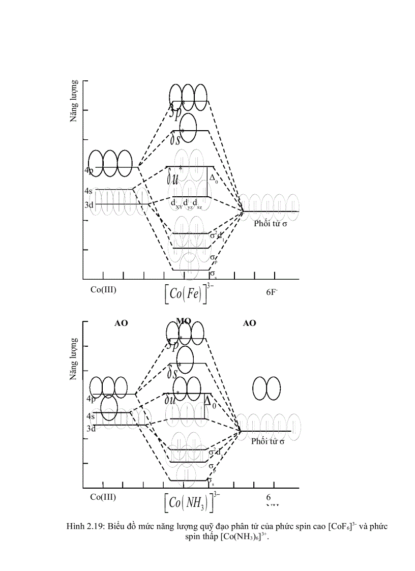 image for page Thuốc thử hữu cơ