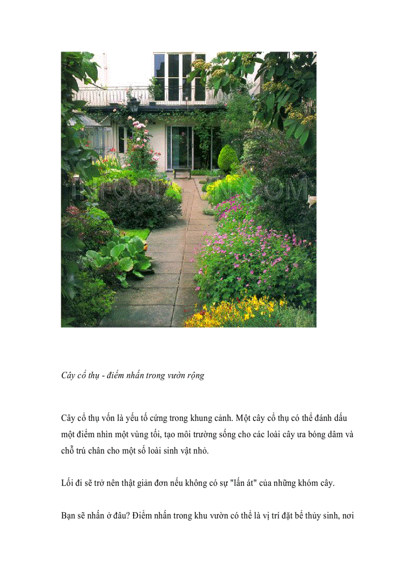 image for page Ý tưởng cho khu vườn xinh