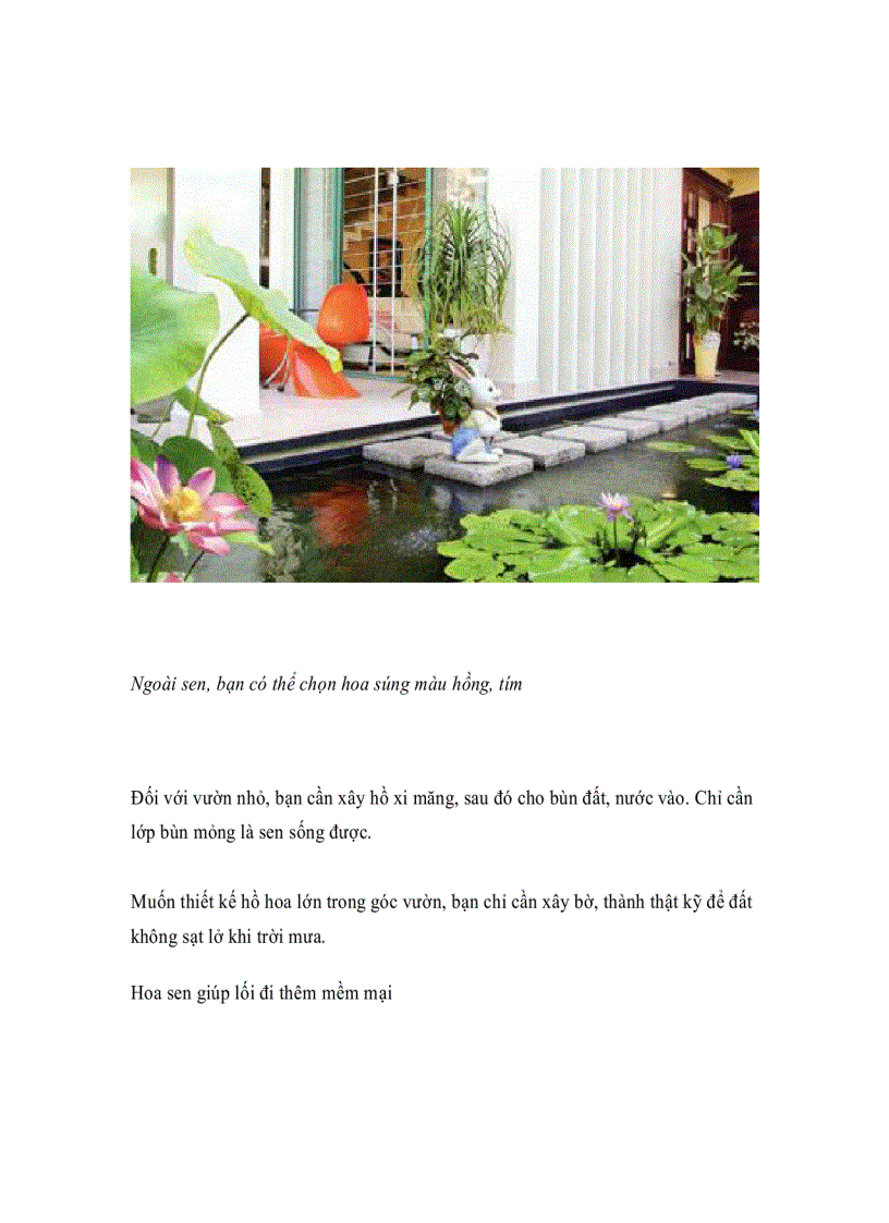 image for page Sen trong vườn nhà