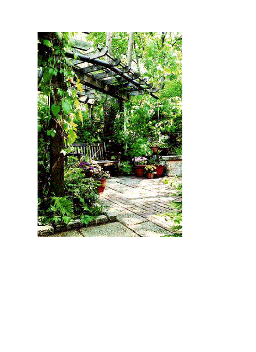 image for page Resort trong vườn nhà