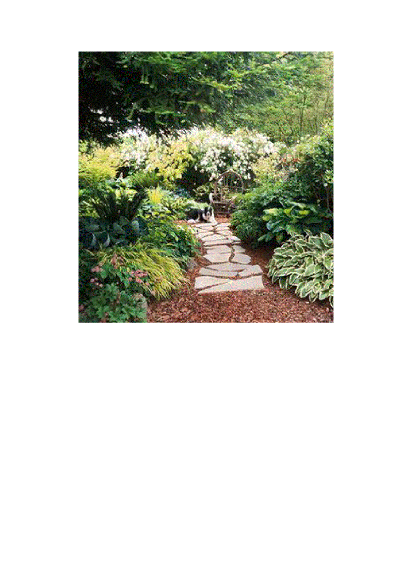 image for page Resort trong vườn nhà