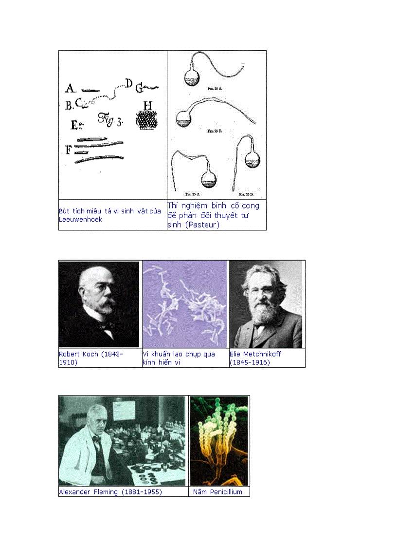 image for page Tổng quan vi sinh vật học