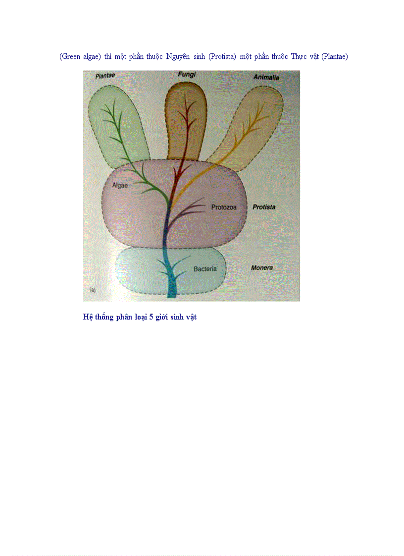 image for page Tổng quan vi sinh vật học