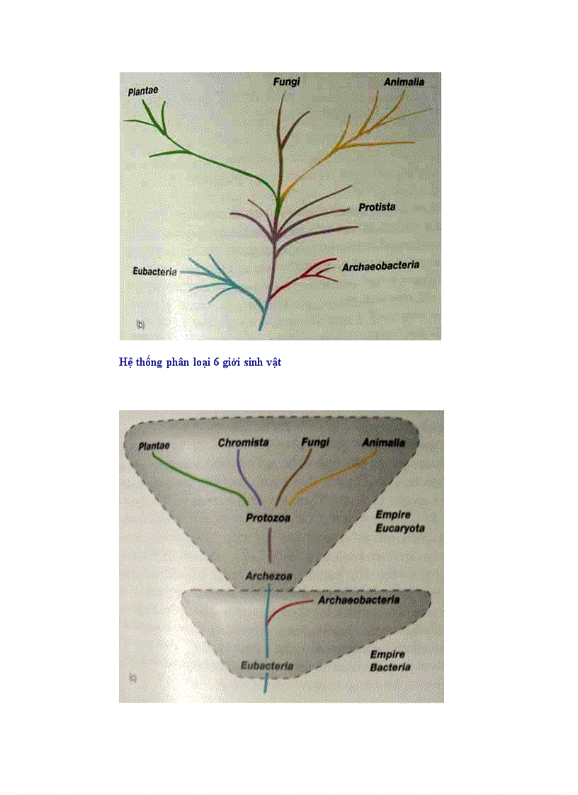 image for page Tổng quan vi sinh vật học