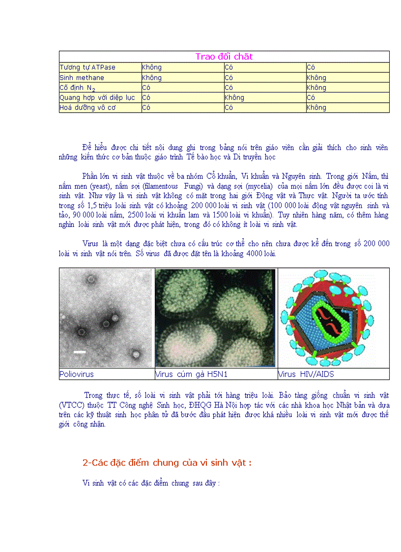image for page Tổng quan vi sinh vật học