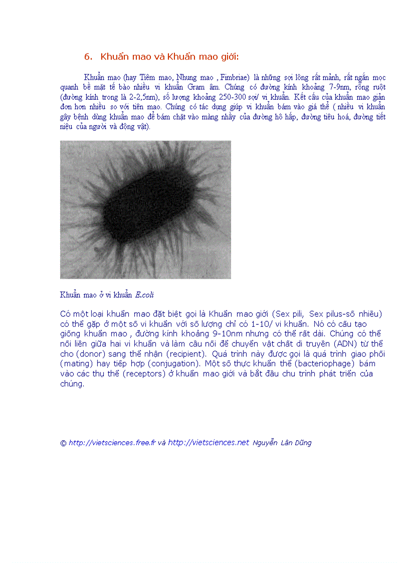 image for page Tổng quan vi sinh vật học