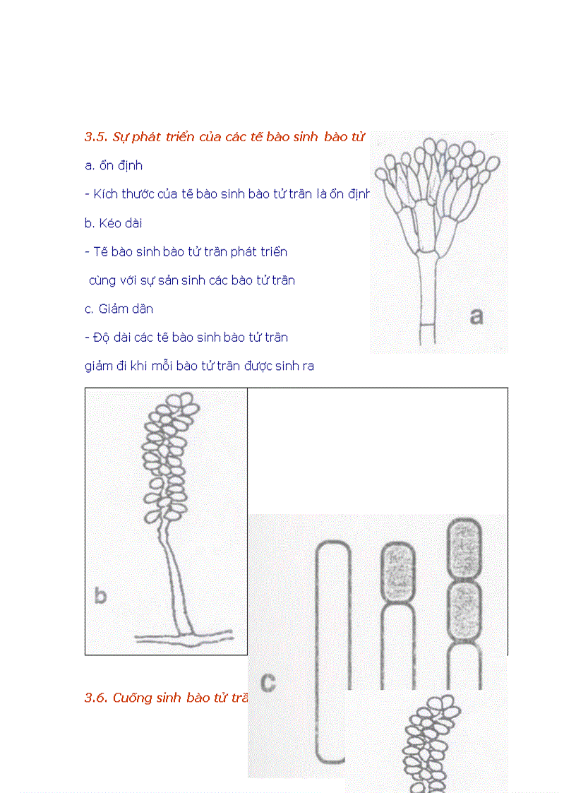 image for page Tổng quan vi sinh vật học