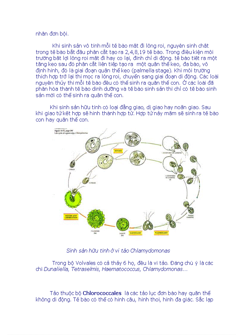 image for page Tổng quan vi sinh vật học