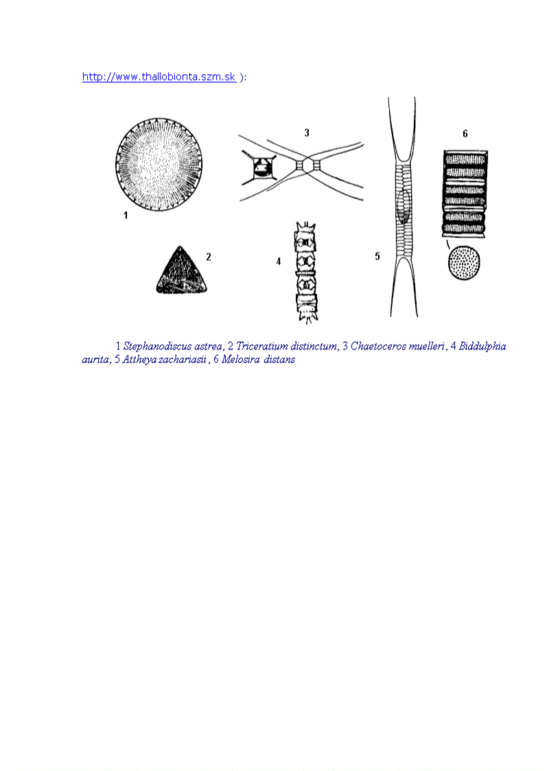 image for page Tổng quan vi sinh vật học