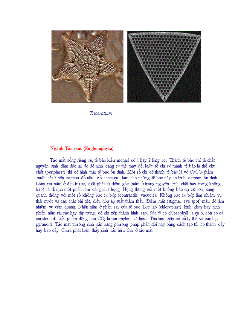 image for page Tổng quan vi sinh vật học