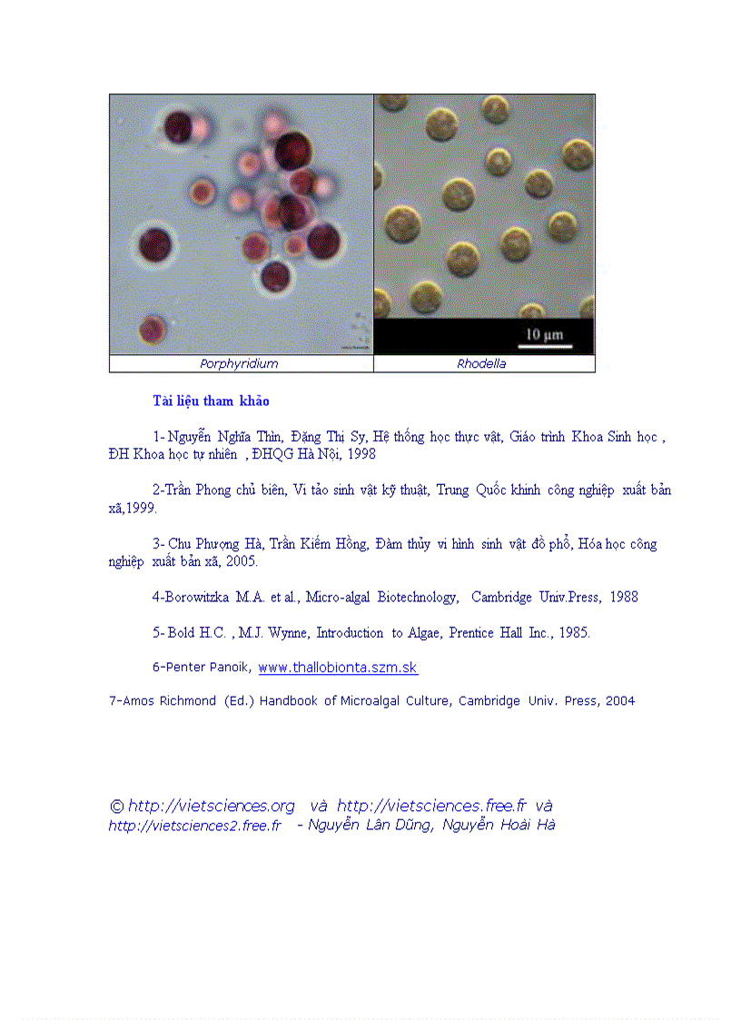 image for page Tổng quan vi sinh vật học