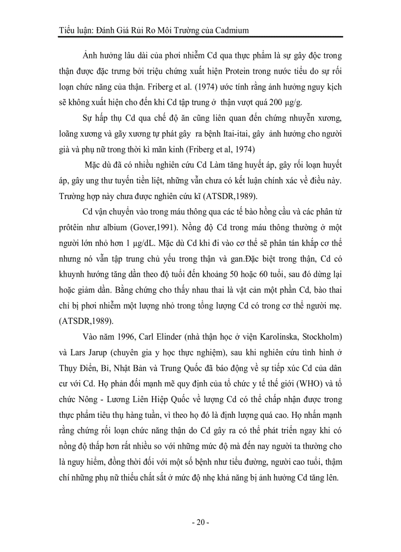 image for page Đánh Giá Rủi Ro Môi Trường của Cadmium