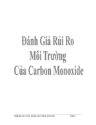 Đánh giá rủi ro môi trường của Carbon monoxide