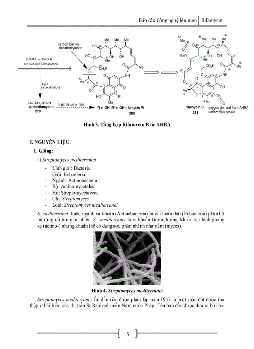 image for page Công nghệ lên men Rifamycin