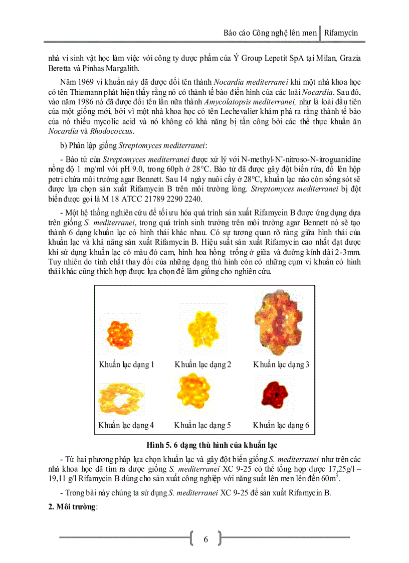 image for page Công nghệ lên men Rifamycin