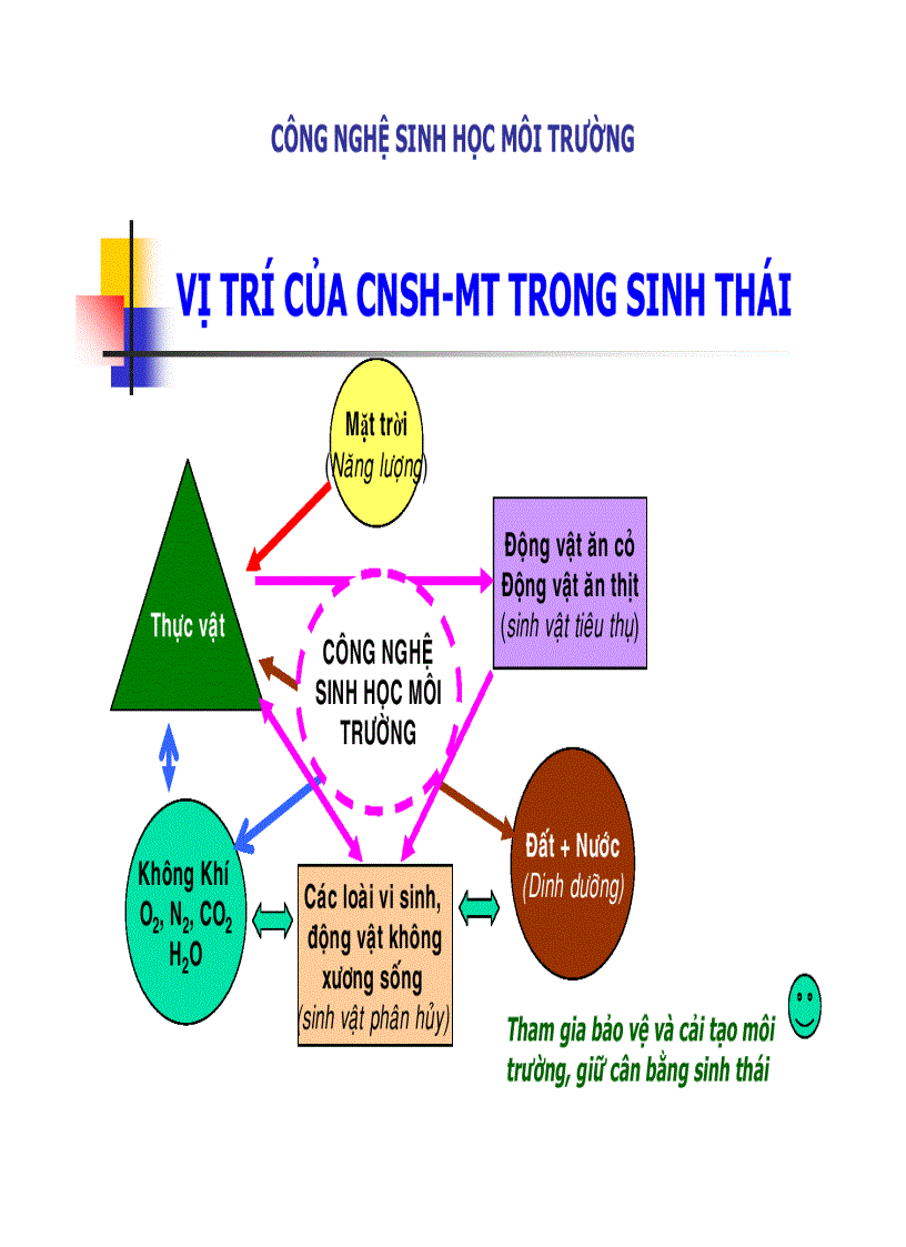 Công nghệ sinh học môi trường