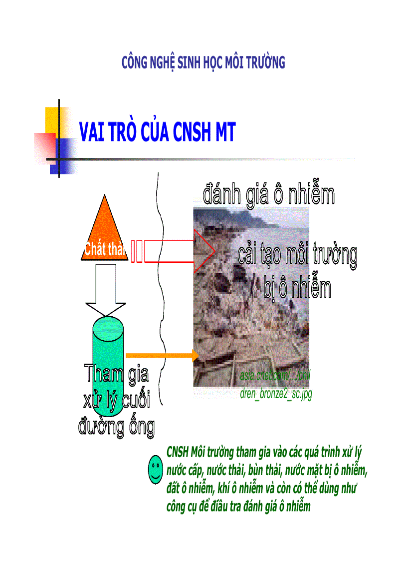 Công nghệ sinh học môi trường