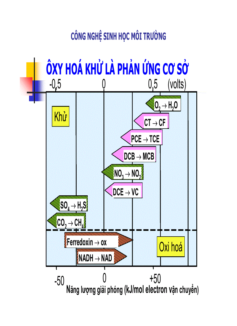 image for page Công nghệ sinh học môi trường