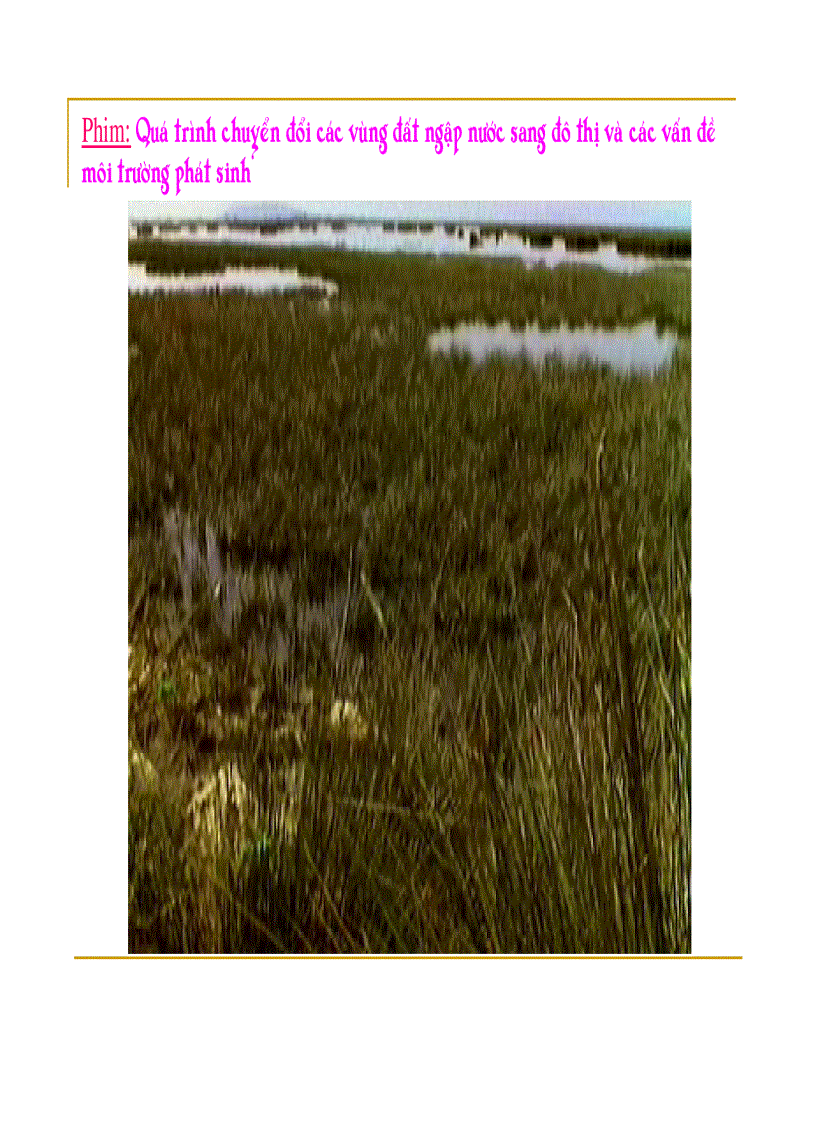 image for page Quản lý môi trường đô thị và khu công nghiệp