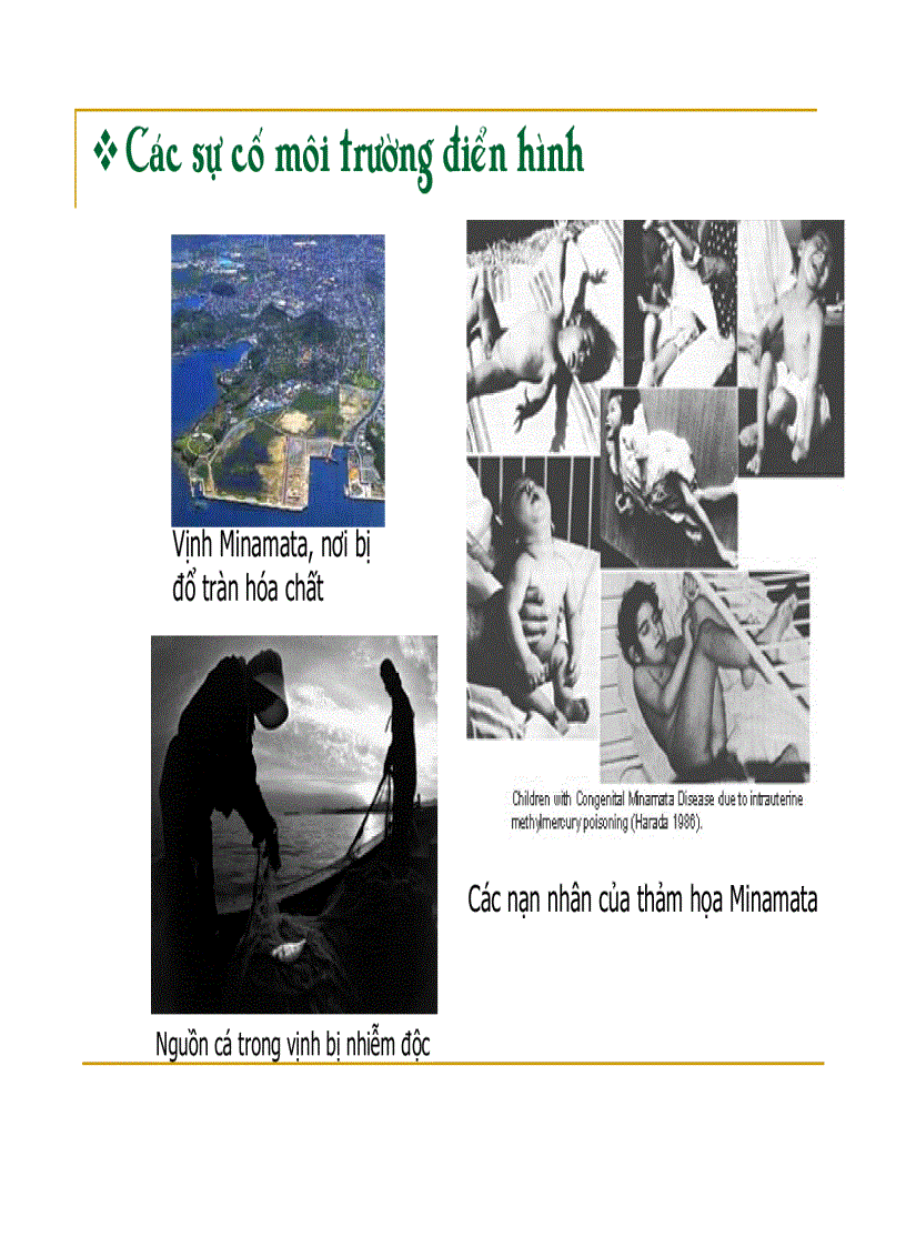 image for page Quản lý môi trường đô thị và khu công nghiệp